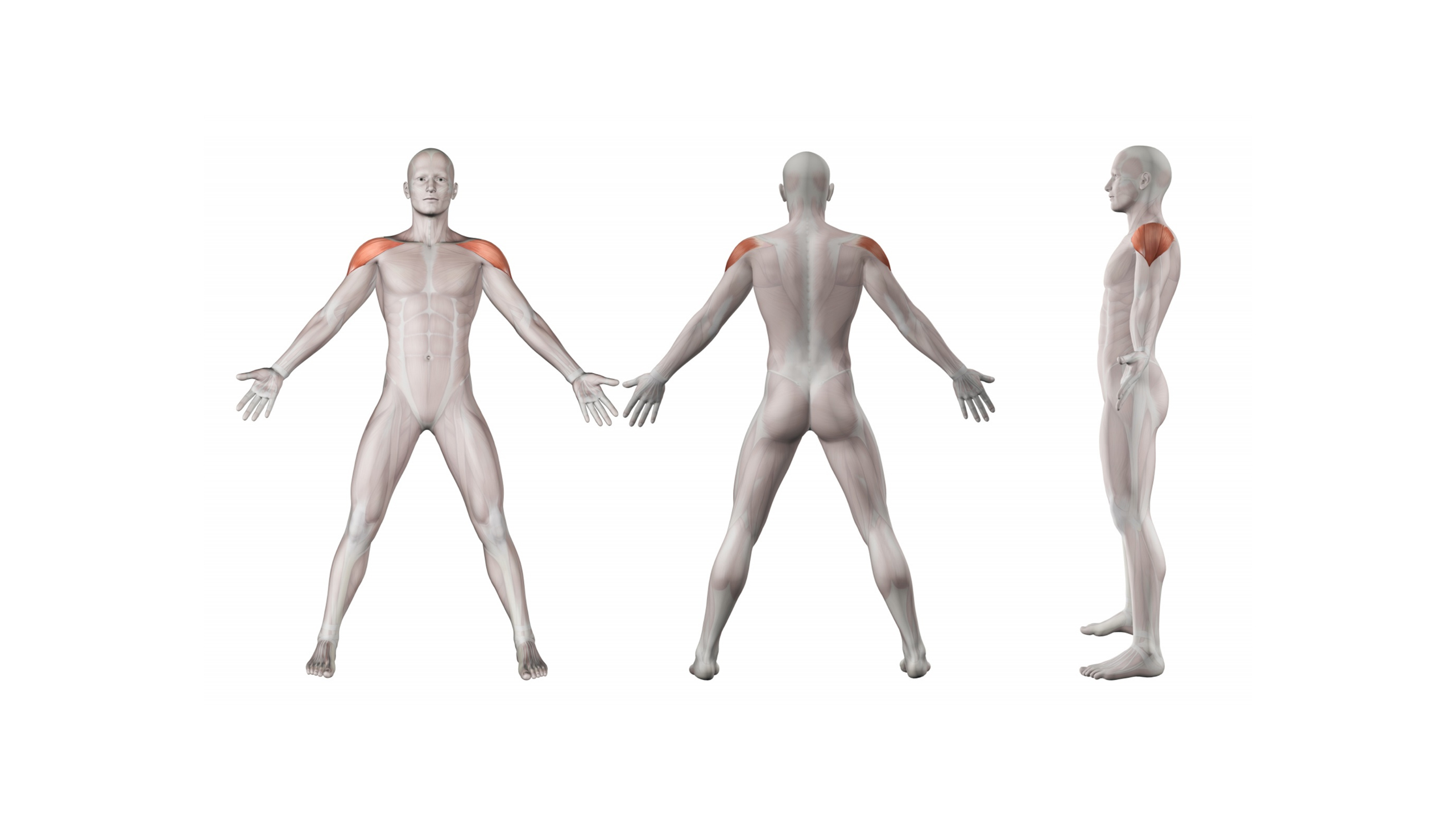 The Use of Body Charts in Physiotherapy clinics